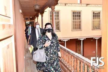 Pleno ordinario de diciembre de 2020/Francisco Javier Santana.